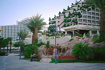 האם בקרוב נראה כאן עצי ינבוט? הטיילת באילת. צילום: שלמה מאיר, ארכיון הצילומים של קקל